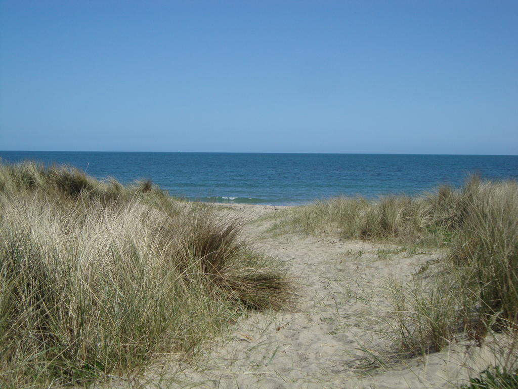 Clifford House B & B Rosslare Harbour Exteriér fotografie