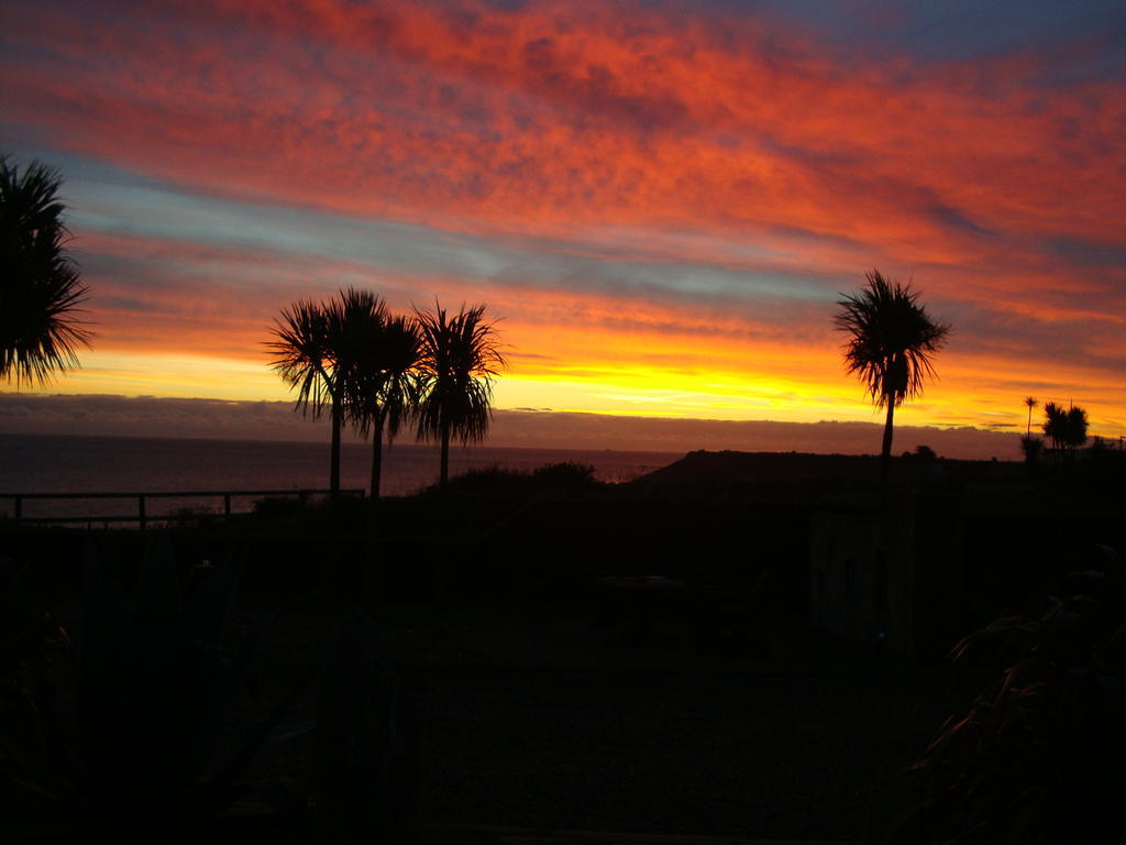 Clifford House B & B Rosslare Harbour Exteriér fotografie